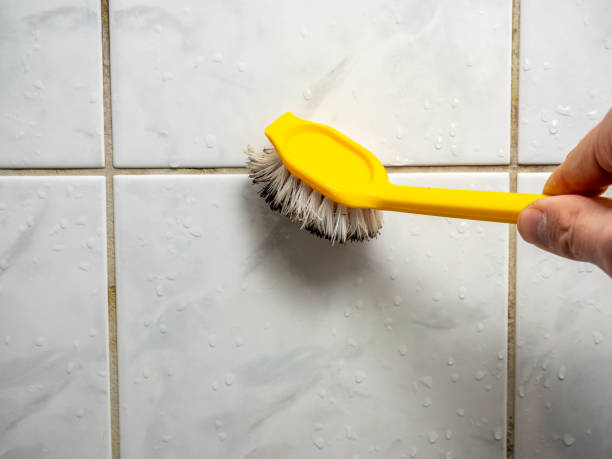 Best DIY Mold Remediation Support Services in Indian Springs Village, AL