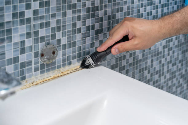 Best White Mold Remediation in Indian Springs Village, AL